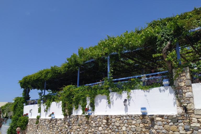 Kos : Visite de l&#039;île en bus avec dégustation de miel grec