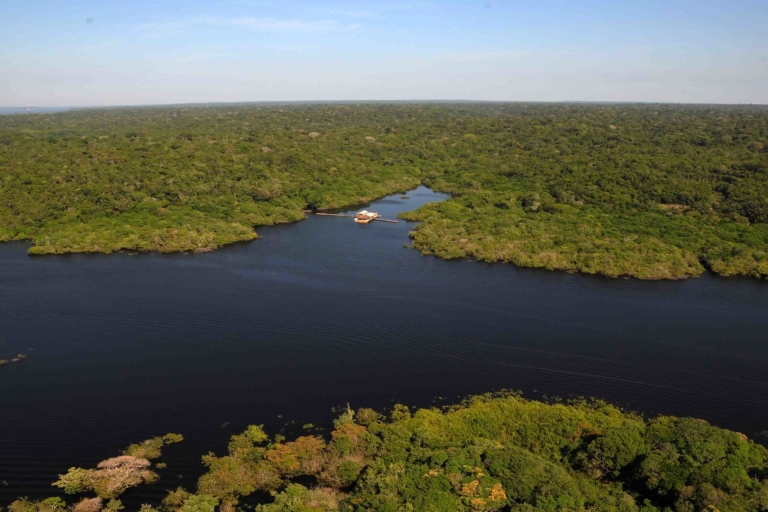 Excursión de un día a los Delfines del Amazonas desde Manaos