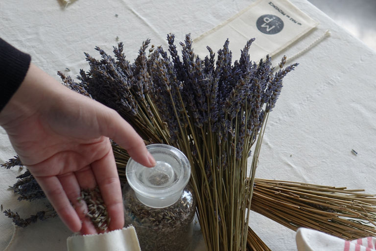 Tour del campo di lavanda e della distilleria tra Nimes e Arles