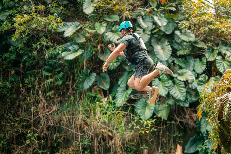 Porto Rico: visite d'une demi-journée de la forêt pluviale et des cascades d'El Yunque
