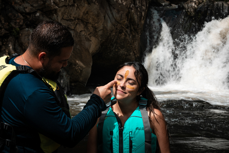 Porto Rico: visite d'une demi-journée de la forêt pluviale et des cascades d'El Yunque