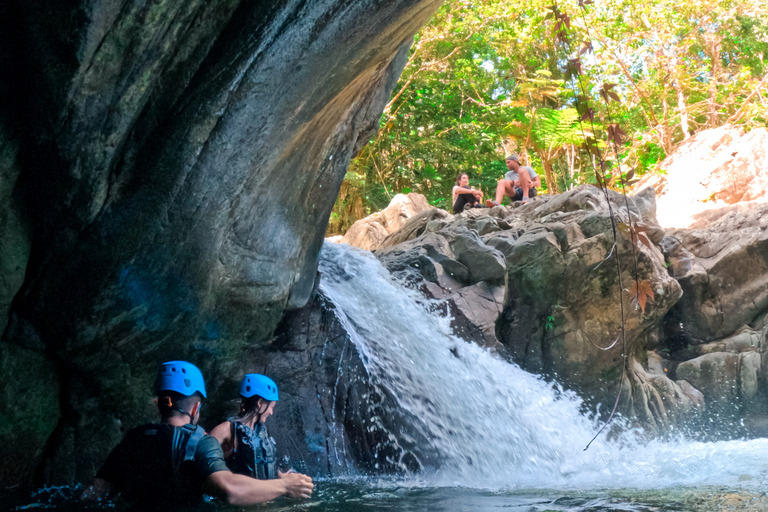 Porto Rico: visite d'une demi-journée de la forêt pluviale et des cascades d'El Yunque