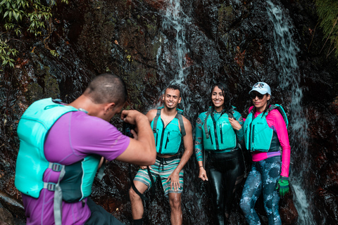Porto Rico: visite d'une demi-journée de la forêt pluviale et des cascades d'El Yunque