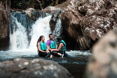 Porto Rico: visite d'une demi-journée de la forêt pluviale et des cascades d'El Yunque