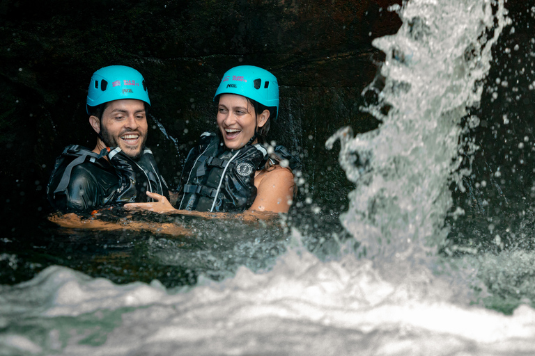 Porto Rico: visite d'une demi-journée de la forêt pluviale et des cascades d'El Yunque