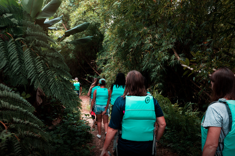 Porto Rico: visite d'une demi-journée de la forêt pluviale et des cascades d'El Yunque