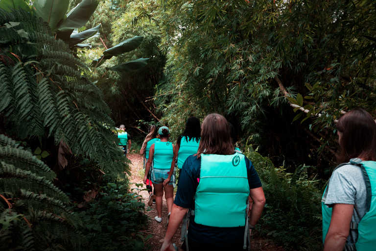 Porto Rico: visite d'une demi-journée de la forêt pluviale et des cascades d'El Yunque