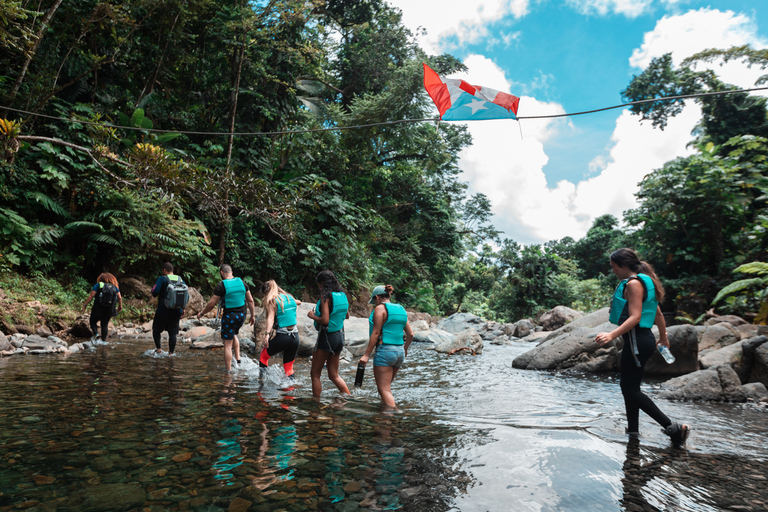 Porto Rico: visite d'une demi-journée de la forêt pluviale et des cascades d'El Yunque