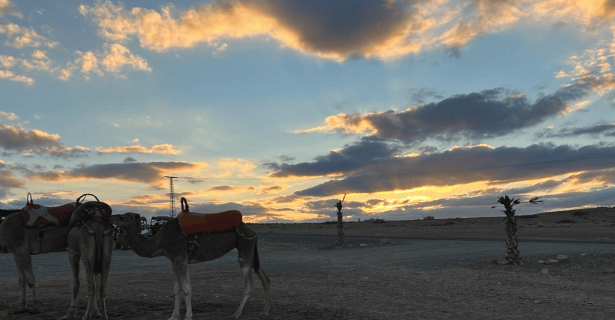 Marrakesch, Atlas Mountains und Agafay Desert Trip mit Mittagessen - Hizvo