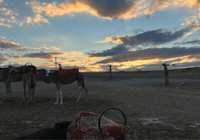 Marrakesch, Atlas Mountains und Agafay Desert Trip mit Mittagessen - Hizvo