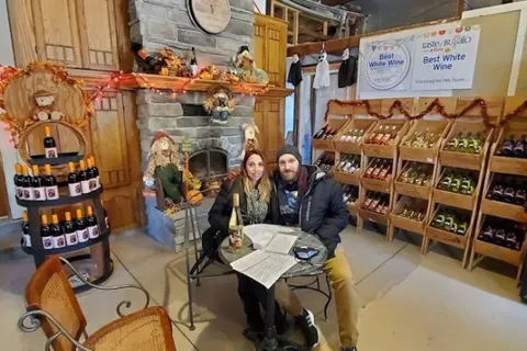 Niagara Falls: USA Boutique Wine Tour in kleine groep
