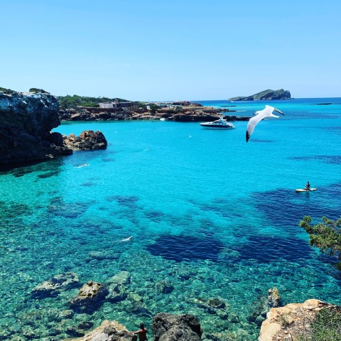 Visit Ibiza 3-Hour All-Inclusive Boat Trip in Es Pujols, Formentera
