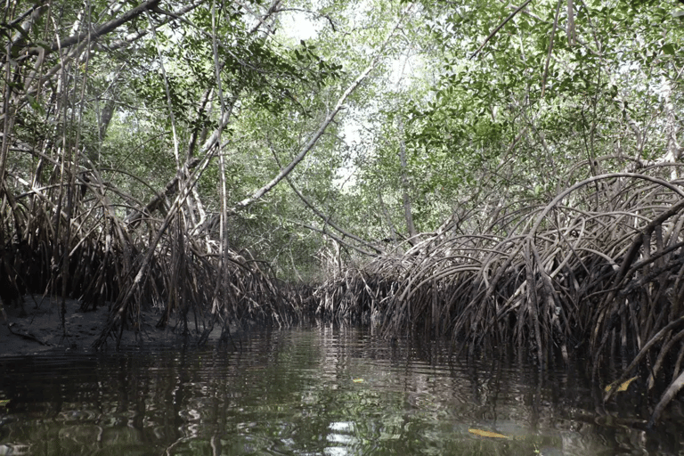Sine Saloum: 2-Day Delta Boat Tour with Camping Sine Saloum: Delta discovery by boat with bivouac