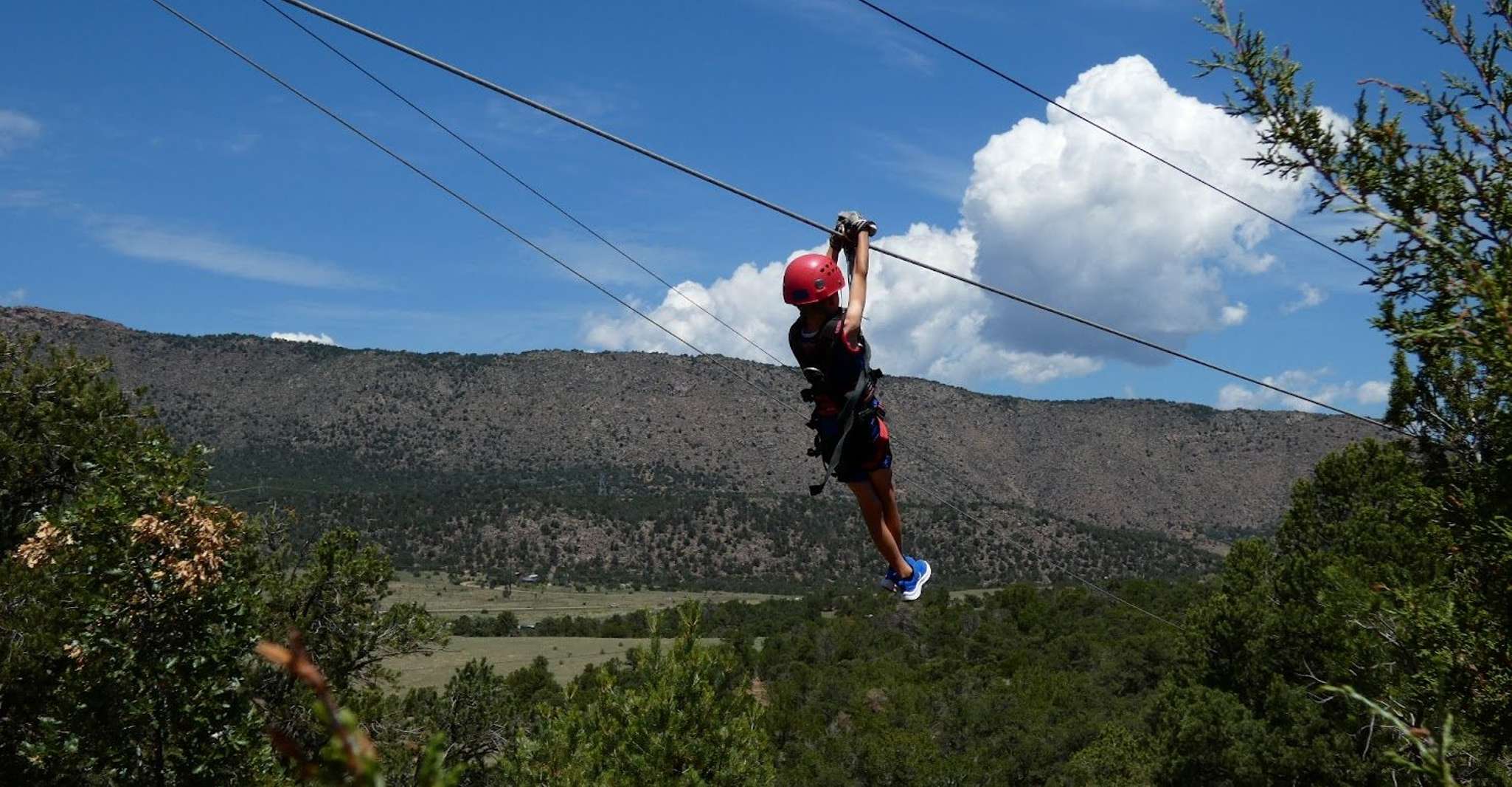 Cañon City, Bighorn Sheep Canyon Rafting e classica zipline - Housity