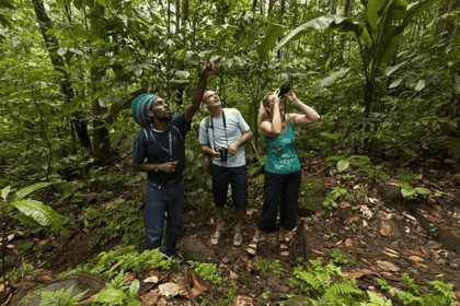 Rainforest Adventures Birdwatching Tour - Housity