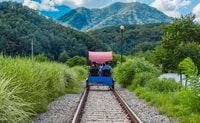 ソウル、ナミ島、韓国の庭園＆鉄道自転車の日帰り旅行 - Housity