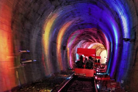 Från Seoul: Dagstur till Nami Island, Koreanska trädgården och Rail Bike