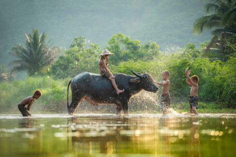 Siem Reap: Excursão pela Reserva da Biosfera Prek Toal Tonle Sap