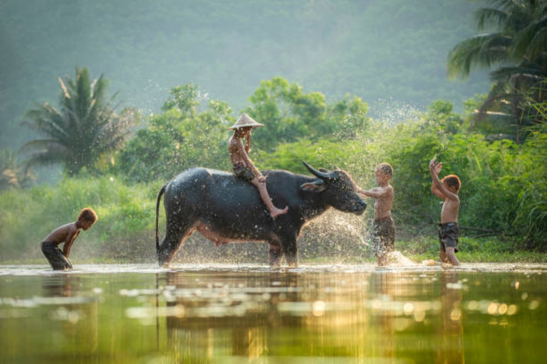 Kompong Phluk Full-Day Adventure Tour