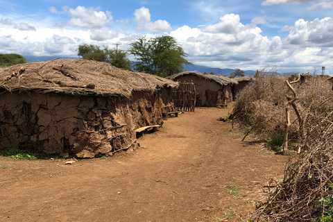 Visite du village Masai et de la culture à Kajiado depuis Nairobi.Option standard