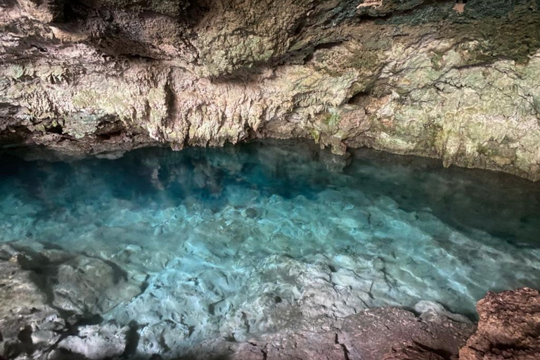 Zanzibar: Excursão à caverna Kuza e à fazenda de ervas marinhasZanzibar: Caverna de Kuza e Sea Weed Farm Tour