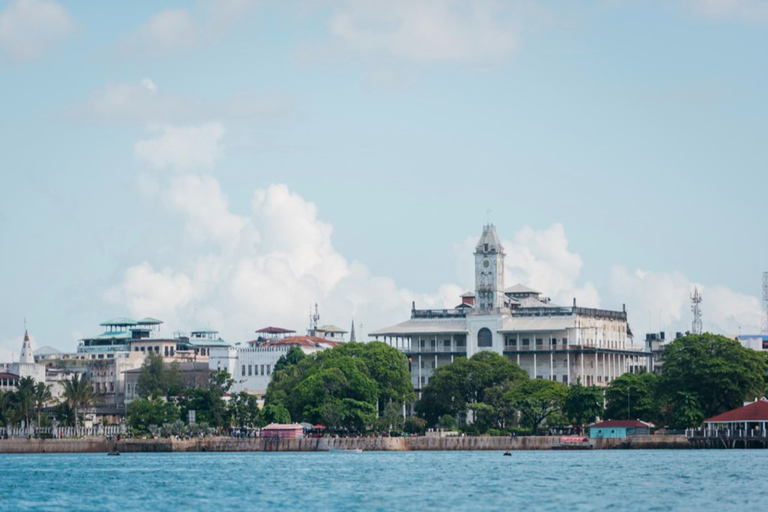 Expérience d'une journée à Zanzibar