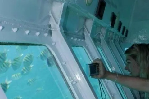 Roatan: Glassbottom Boat Semi Sub Experience