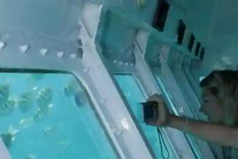 Roatan: Glassbottom Boat Semi Sub Experience