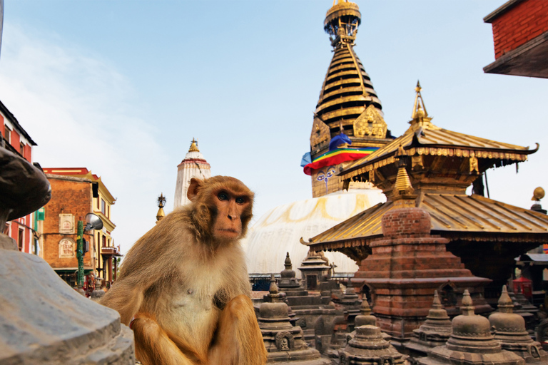 Katmandu: excursão guiada de meio dia a Swambhunath e Durbar Square