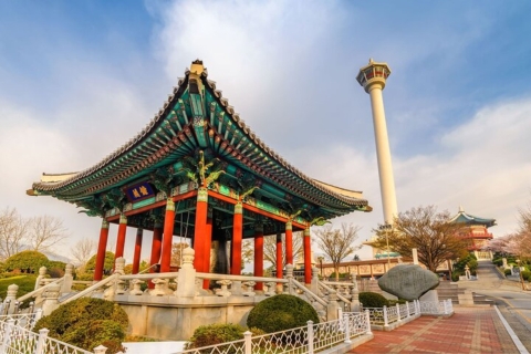 Busan: Visita privada personalizada con un guía localRecorrido a pie de 4 horas