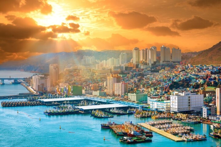 Busan: Private custom tour with a local guide 3 Hours Walking Tour