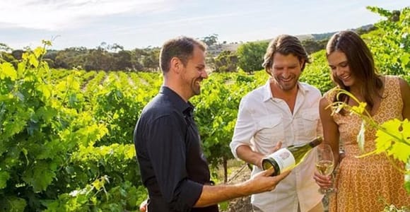 Ontario: Nachmittags Wein-Tour und Käse-Paarung