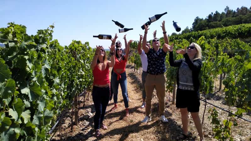 From Porto: Douro Valley Wine Tasting, Lunch and Boat Cruise