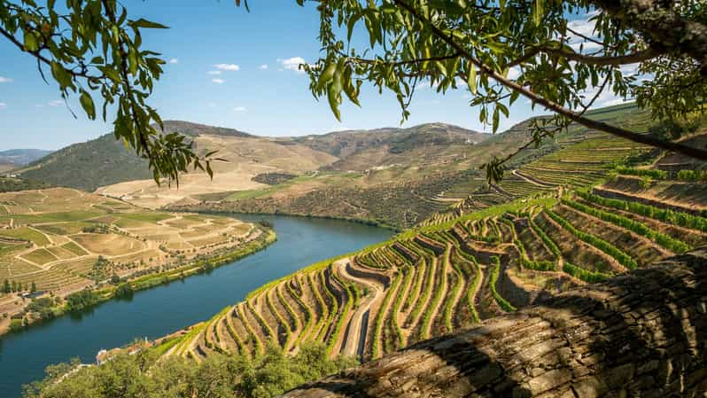 From Porto: Douro Valley Wine Tasting, Lunch and Boat Cruise | GetYourGuide