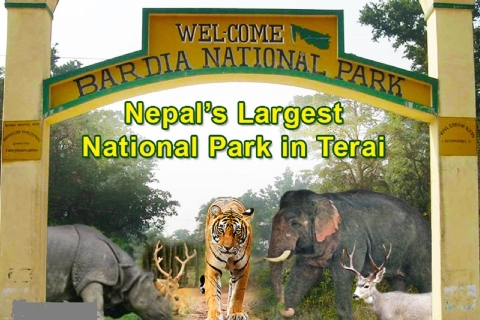 Depuis Katmandou : 3 jours d'excursion dans le parc national de BardiaAu départ de Pokhara : 3 jours d'excursion dans le parc national de Bardia