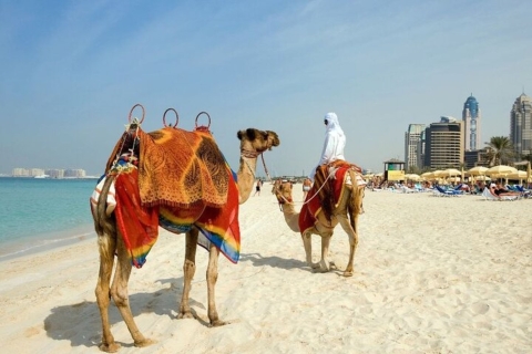 Dubaj: Prywatna niestandardowa wycieczka z lokalnym przewodnikiem2-godzinna wycieczka piesza