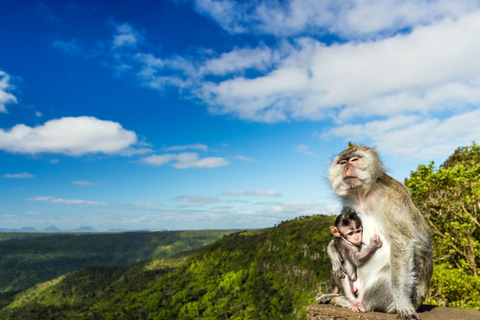 Maurício: Caminhada guiada ao Pico Black River com um guia local