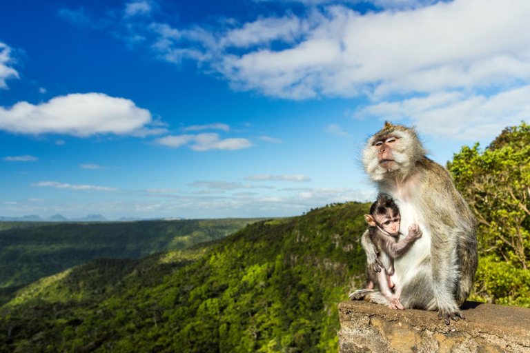 Maurício: Caminhada guiada ao Pico Black River com um guia local