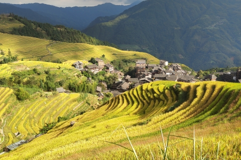 2 Días Longji Rice Terrace y Sanjiang Dong Village TourOpción estándar
