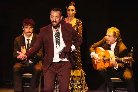 Cruzeiro panorâmico no Guadalquivir + show de flamenco e passeio a pé