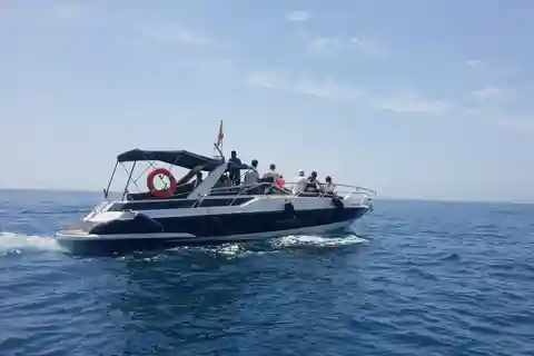 PRIVAT DELFINSKÅDNING SUNSEEKER MED DRINKAR PÅ FUENGIROLA