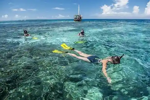 Zanzibar: Safari blu, esperienza Blue horizon