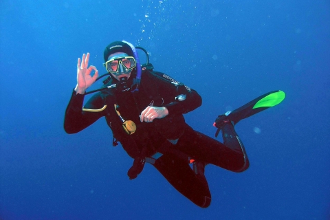 Kusadasi: Scuba Diving for Beginner or Experienced w/ Lunch