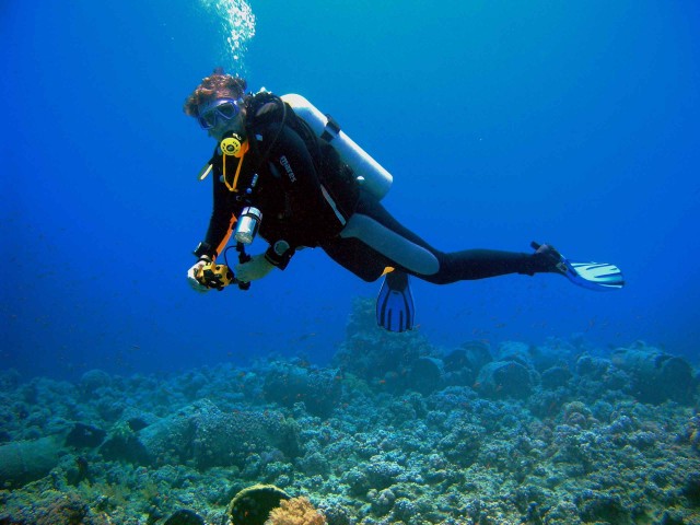 Visit Kusadasi Scuba Diving for Beginner or Experienced w/ Lunch in Kuşadası