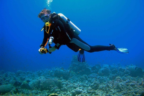 Kusadasi: Scuba Diving for Beginner or Experienced w/ Lunch