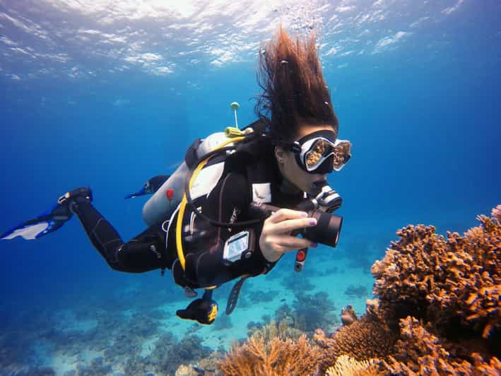 Kusadasi Scuba Diving Pentru începători Sau Experimentați Cu Prânz Getyourguide 4811