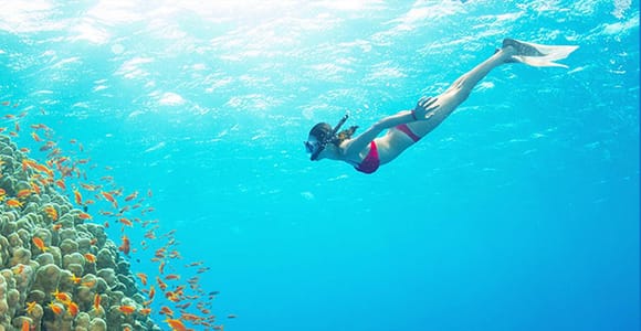 Phu Quoc: Real snorkel & island hopping by Speedboat(Max 12)