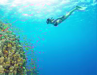 Phu Quoc, Speedboat Tour of 4 Islands with Snorkeling & BBQ - Housity