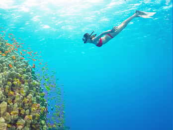 Phu Quoc: Speedboat Tour of 4 Islands with Snorkeling & BBQ