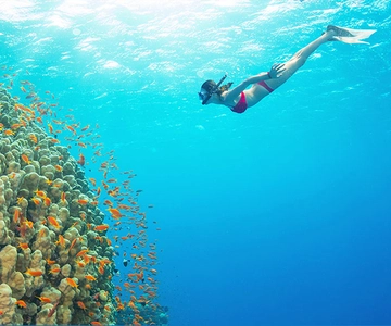 Phu Quoc: passeio de lancha por 4 ilhas com mergulho com snorkel e churrasco